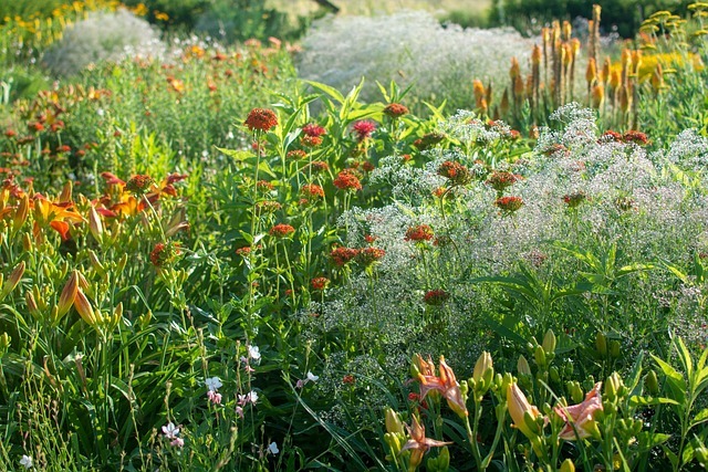 saisonale Bepflanzung sorgt für die längste Blumenpracht